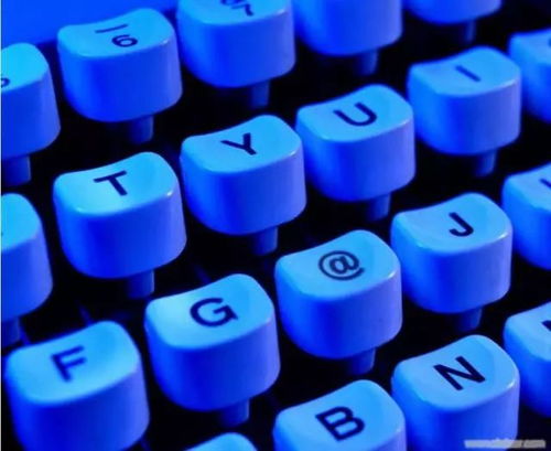 計(jì)算機(jī)軟硬件與網(wǎng)絡(luò)技術(shù) 數(shù)字化時(shí)代的基石